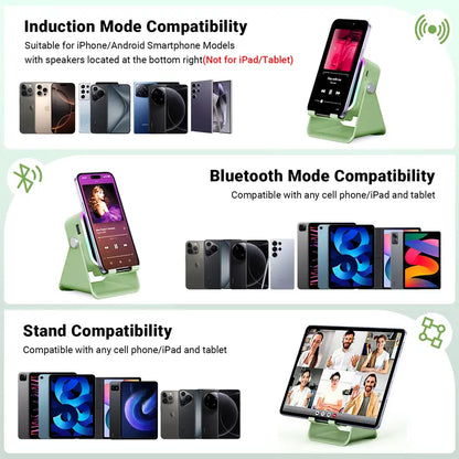 5 in 1 Wireless Induction Speaker Stand (Black)