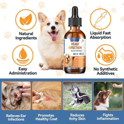 The Daily Essential Dog Drops