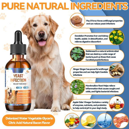 The Daily Essential Dog Drops